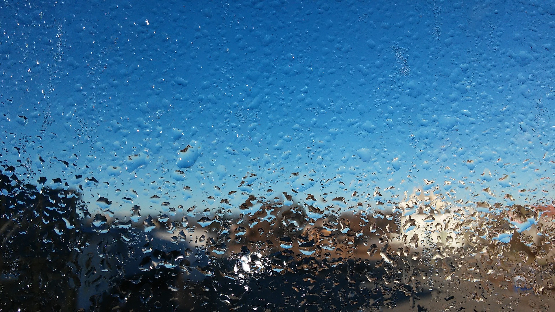 窓ガラスが結露している