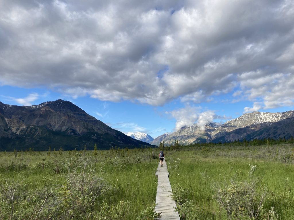 湿地帯のボードウォーク