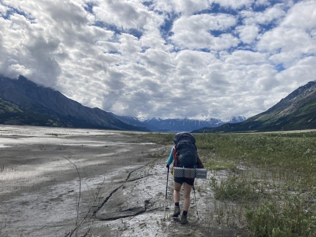 湿地帯を歩く人