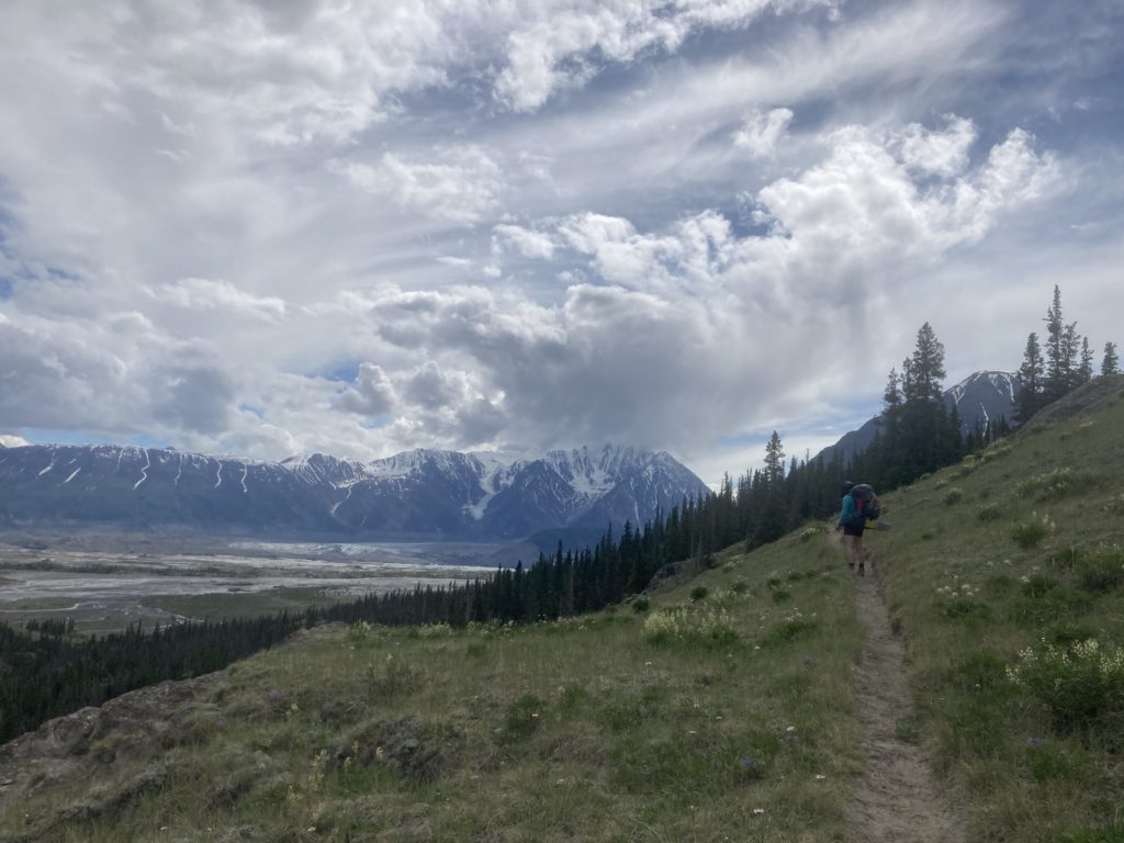 氷河が見える丘