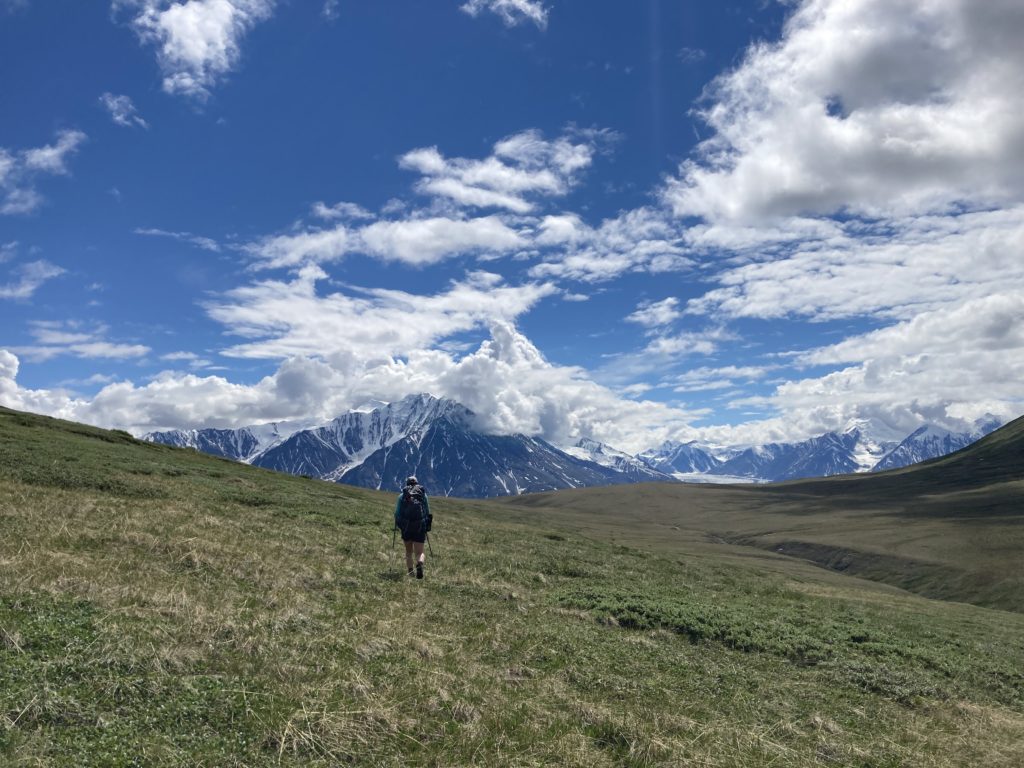 オブザベーションプラトウ